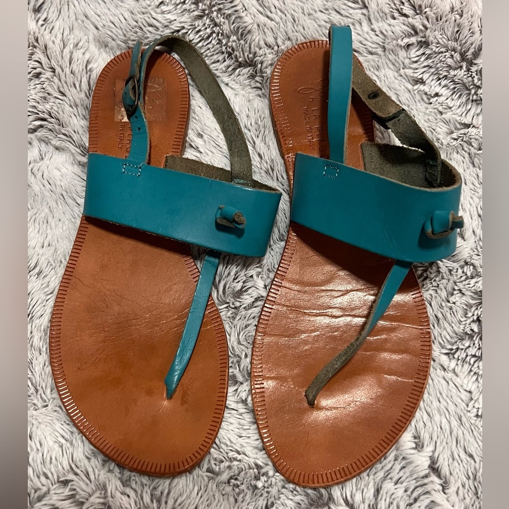 Joie Blue and Brown Sandals Minimalist Thong Design
